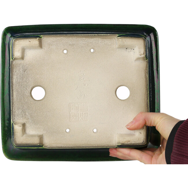 Maceta rectangular para bonsái verde de Terahata Satomi Mazan - 250 x 215 x 82 mm