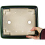 Maceta rectangular para bonsái verde de Terahata Satomi Mazan - 250 x 215 x 82 mm