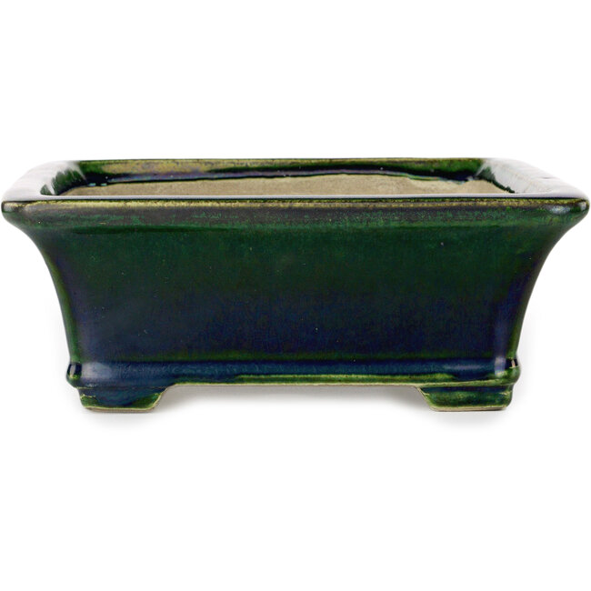 Maceta rectangular para bonsái verde de Terahata Satomi Mazan - 250 x 215 x 82 mm