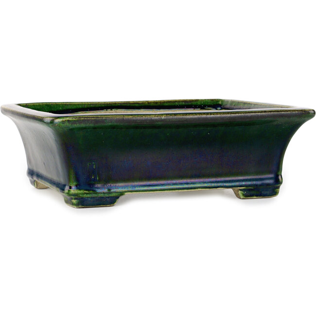 Maceta rectangular para bonsái verde de Terahata Satomi Mazan - 250 x 215 x 82 mm