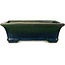 Rectangular green bonsai pot by Terahata Satomi Mazan - 250 x 215 x 82 mm