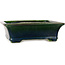 Maceta rectangular para bonsái verde de Terahata Satomi Mazan - 250 x 215 x 82 mm