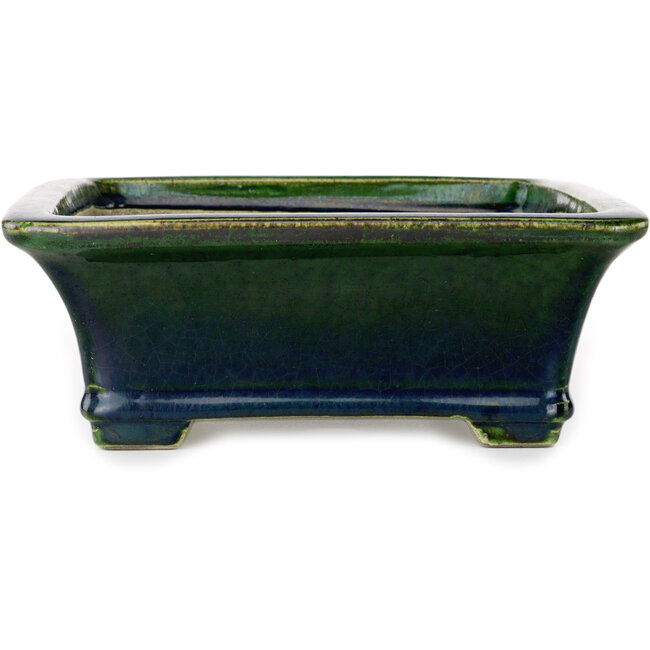 Maceta rectangular para bonsái verde de Terahata Satomi Mazan - 250 x 215 x 82 mm