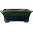Maceta rectangular para bonsái verde de Terahata Satomi Mazan - 250 x 215 x 82 mm