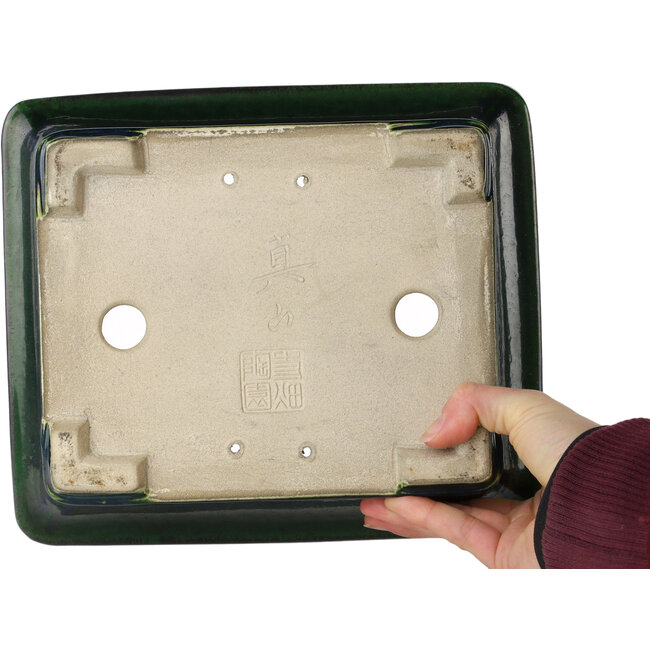 Maceta rectangular para bonsái verde de Terahata Satomi Mazan - 250 x 215 x 82 mm