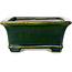 Vaso bonsai rettangolare verde di Terahata Satomi Mazan - 235 x 187 x 83 mm