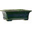 Vaso bonsai rettangolare verde di Terahata Satomi Mazan - 235 x 187 x 83 mm