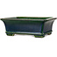 Rectangular green bonsai pot by Terahata Satomi Mazan - 235 x 187 x 83 mm