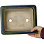 Maceta rectangular para bonsái verde de Terahata Satomi Mazan - 235 x 187 x 83 mm