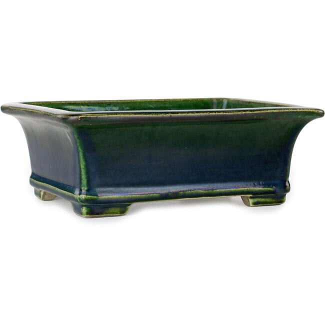 Rechteckiger grüner Bonsaitopf von Terahata Satomi Mazan – 235 x 187 x 83 mm