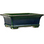 Maceta rectangular para bonsái verde de Terahata Satomi Mazan - 235 x 187 x 83 mm