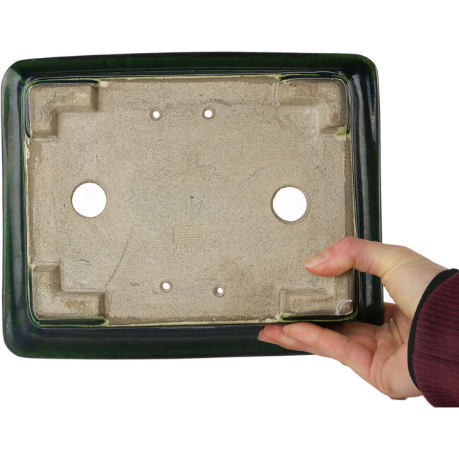 Pot à bonsaï rectangulaire vert par Terahata Satomi Mazan - 235 x 187 x 83 mm