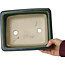 Pot à bonsaï rectangulaire vert par Terahata Satomi Mazan - 235 x 187 x 83 mm