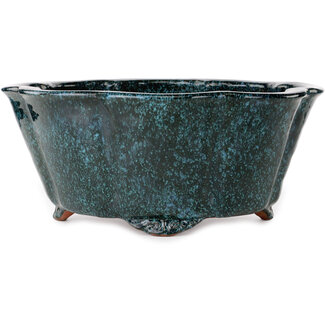  Shuuhou (Hidemi Kataoka) 410 mm blaugrüner Lotus-Bonsaitopf von Shuhou, Tokoname, Japan