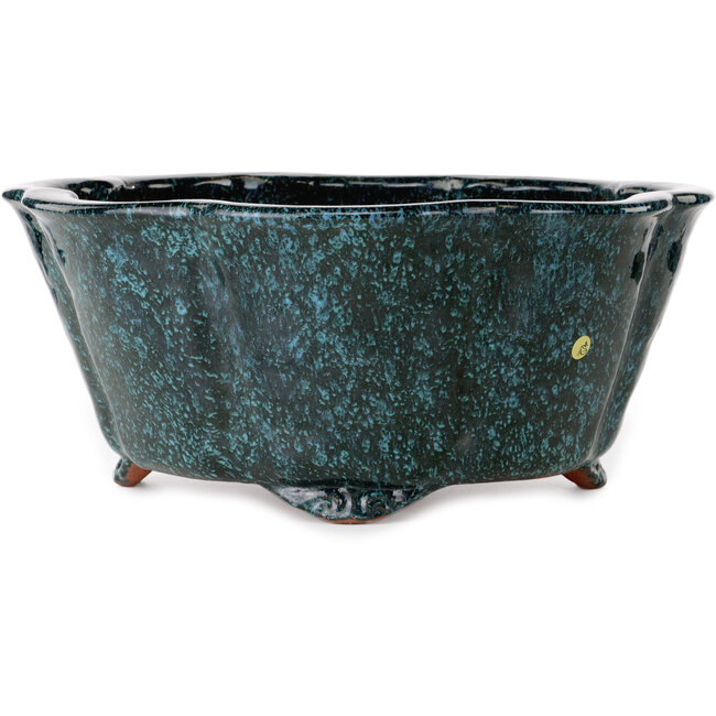 Vaso per bonsai Lotus teal di Shuhou - 410 x 410 x 175 mm