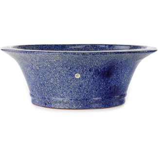  Shuuhou (Hidemi Kataoka) Maceta redonda para bonsái azul de 447 mm de Shuhou, Tokoname, Japón