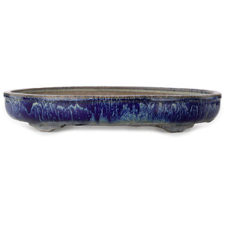  Shuuhou (Hidemi Kataoka) Maceta ovalada para bonsái blanca y azul de 423 mm de Shuhou, Tokoname, Japón