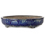 Maceta ovalada para bonsái blanca y azul de Shuhou - 423 x 328 x 65 mm