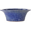 Ronde blauwe bonsaipot van Shuhou - 447 x 447 x 160 mm