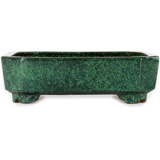  Shuuhou (Hidemi Kataoka) Pot à bonsaï rectangulaire vert de 282 mm, de Shuhou, Tokoname, Japon