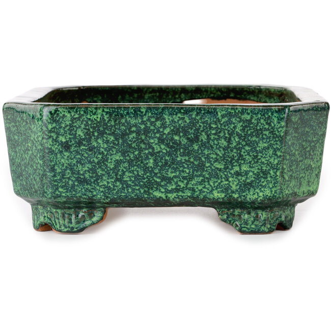 Rechteckiger grüner Bonsai-Topf von Shuhou – 282 x 215 x 83 mm