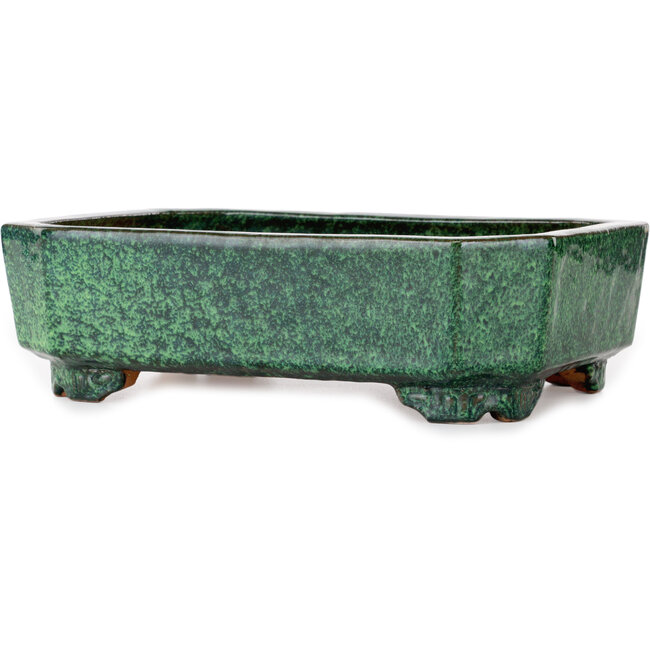 Pot à bonsaï rectangulaire vert de Shuhou - 282 x 215 x 83 mm
