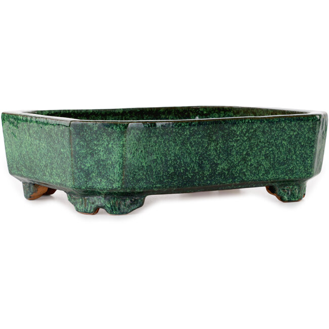 Maceta rectangular verde para bonsái de Shuhou - 282 x 215 x 83 mm