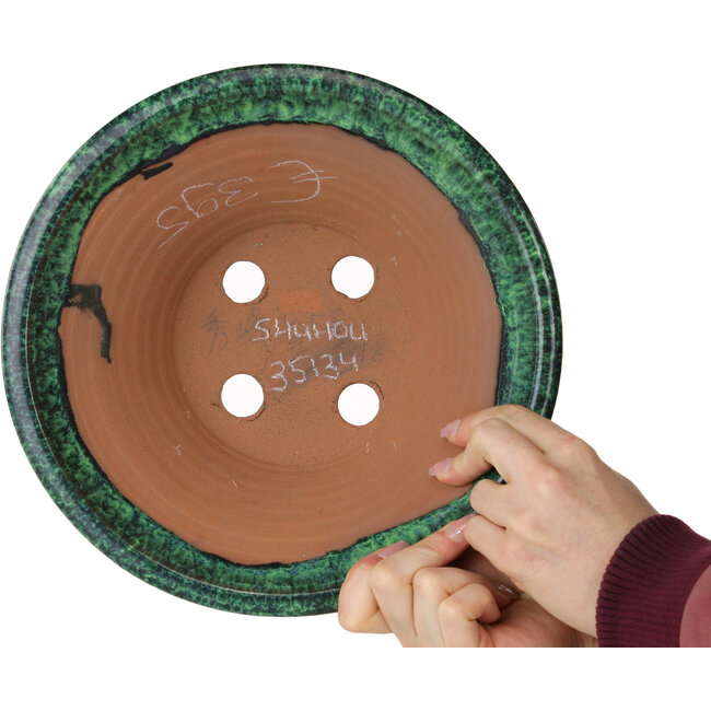 Ronde groene bonsaipot van Shuhou - 272 x 272 x 122 mm