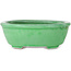 Pot à bonsaï ovale vert craquelé par Shuhou - 198 x 167 x 70 mm
