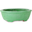 Pot à bonsaï ovale vert craquelé par Shuhou - 198 x 167 x 70 mm