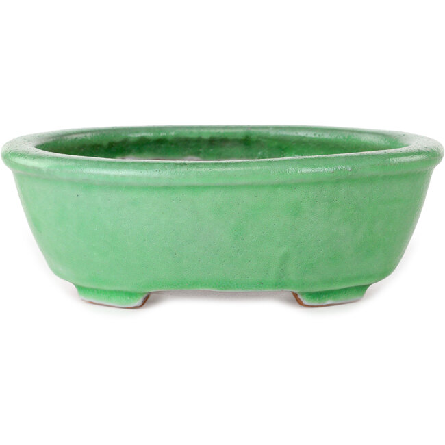 Pot à bonsaï ovale vert craquelé par Shuhou - 198 x 167 x 70 mm