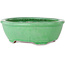 Pot à bonsaï ovale vert craquelé par Shuhou - 198 x 167 x 70 mm