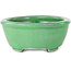 Pot à bonsaï ovale vert craquelé par Shuhou - 198 x 167 x 70 mm