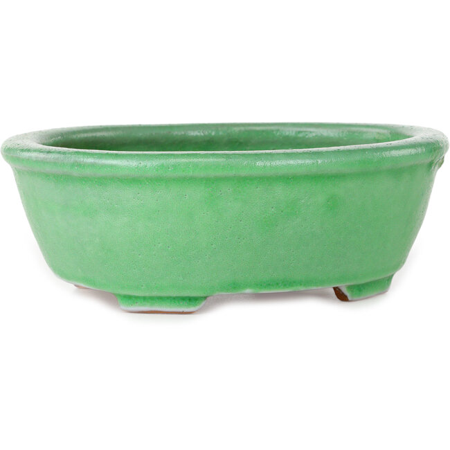 Pot à bonsaï ovale vert craquelé par Shuhou - 198 x 167 x 70 mm