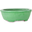 Pot à bonsaï ovale vert craquelé par Shuhou - 198 x 167 x 70 mm