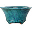 Ronde blauwe bonsaipot met craquelé-effect van Shuhou - 237 x 237 x 120 mm