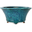 Runder, blauer Bonsai-Topf mit Craquelé-Muster von Shuhou – 237 x 237 x 120 mm