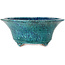Ronde blauwe bonsaipot met craquelé-effect van Shuhou - 275 x 275 x 113 mm