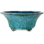 Runder, blauer Bonsai-Topf mit Craquelé-Muster von Shuhou – 275 x 275 x 113 mm
