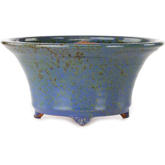  Shuuhou (Hidemi Kataoka) Maceta redonda de bonsái azul y marrón de 244 mm de Shuhou, Tokoname, Japón