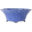Vaso bonsai rotondo blu-viola di Shuhou - 282 x 282 x 113 mm