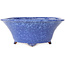Round blue-purple bonsai pot by Shuhou - 282 x 282 x 113 mm