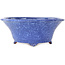 Ronde blauwpaarse bonsaipot van Shuhou - 282 x 282 x 113 mm