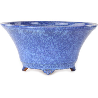  Shuuhou (Hidemi Kataoka) Ronde blauwpaarse bonsaipot van 240 mm van Shuhou, Tokoname, Japan