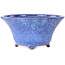 Round blue-purple bonsai pot by Shuhou - 240 x 240 x 116 mm