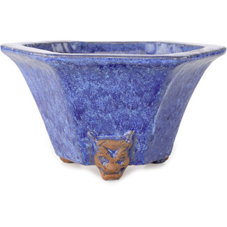  Shuuhou (Hidemi Kataoka) Maceta hexagonal azul para bonsái de 177 mm de Shuhou, Tokoname, Japón