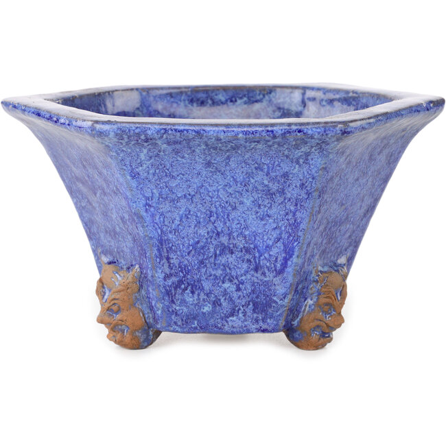 Maceta hexagonal azul para bonsái de Shuhou - 177 x 177 x 100 mm
