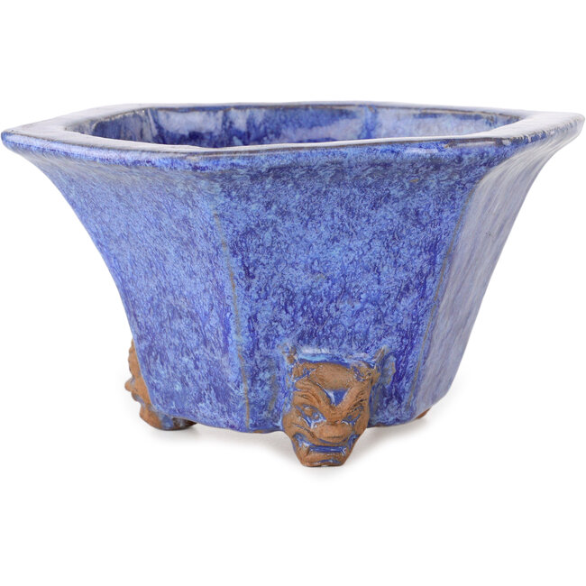 Maceta hexagonal azul para bonsái de Shuhou - 177 x 177 x 100 mm
