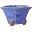 Pot à bonsaï hexagonal bleu de Shuhou - 177 x 177 x 100 mm