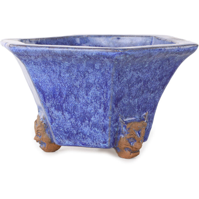 Pot à bonsaï hexagonal bleu de Shuhou - 177 x 177 x 100 mm